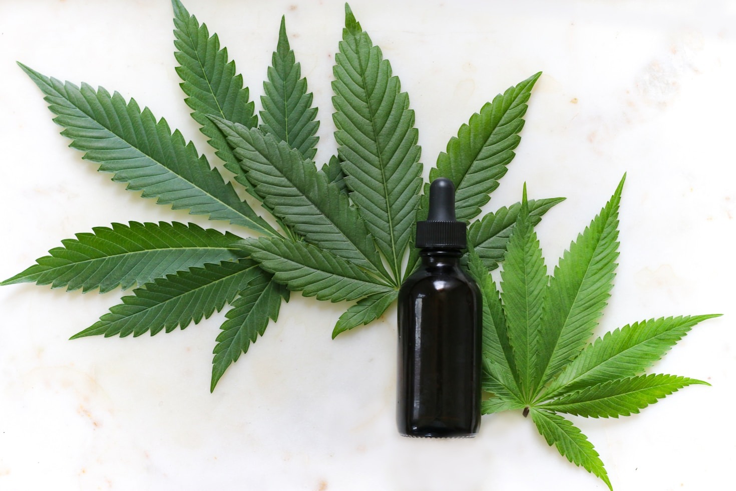 Top Benefits of Joining a Cannabis Club