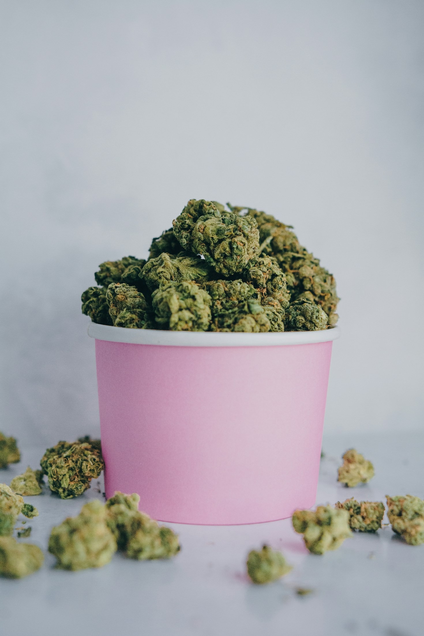 Exploring Cannabis Culture Through Community